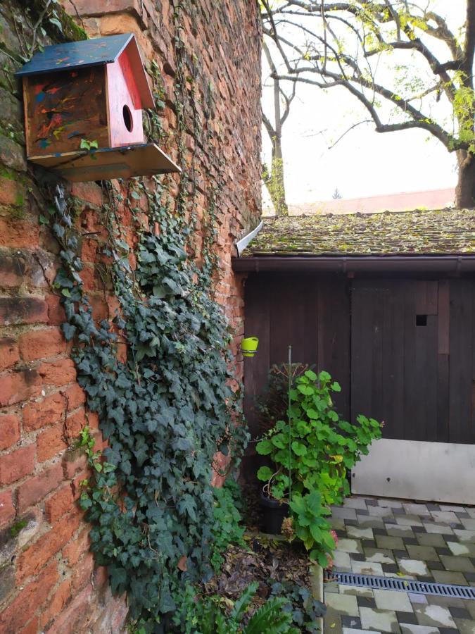 Tiny Cozy Accommodation ザグレブ エクステリア 写真